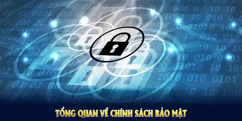 Giới thiệu tổng quát về ưu điểm hàng đầu