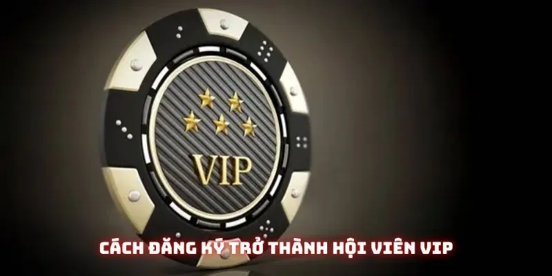 Cách đăng ký trở thành hội viên VIP được đề cập đầy đủ