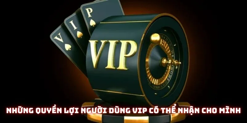 Những quyền lợi người dùng VIP có thể nhận được về cho mình
