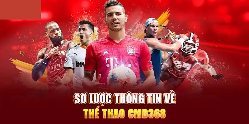 Trải nghiệm không gian thể thao đỉnh cao 