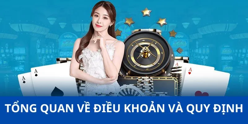 Tổng quan về điều khoản và quy định tại 95VN