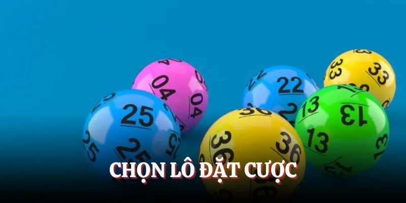 Chọn lô đặt cược